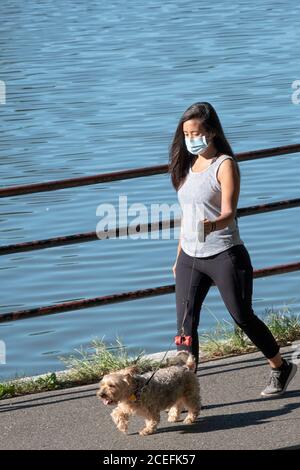 Eine attraktive junge Dame mit einer OP-Maske geht mit ihrem Hund auf einem Weg am See in Kissena Park, Flushing, Queens, New York City/ Stockfoto