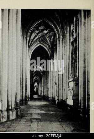 . Winchester Cathedral : eine kurze Geschichte für Besucher. Geschäfte Thron, nach Westen und Blick über den Altar in Richtung der Mönche. Auf beiden Händen sind die Unterbänke für den Klerus um die Runde gekreist. Alle von denen wir durch Analogie wissen: Es war der normale Plan in den frühen Tagen und es sind Überreste der tatsächlichen Steinsitze in Norwich und in Ely. Der Chor oder Quire der Mönche wurde vom Kirchenschiff durch einen hohen und massiven Steinschirm getrennt. (Das Wort chancelmeans Bildschirm.) Dieser große Bildschirm wurde das Pulpitum genannt.Es bestand aus zwei Wänden, die die Kirche kreuzten und stützinga geräumigen Dachboden oder Galerie, auf dem stand Stockfoto