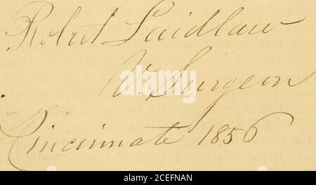 . Hippopathologie : eine systematische Abhandlung über die Störungen und Lamenesses des Pferdes, mit ihren am meisten genehmigten Methoden der Heilung ; Umarmung der Lehren der englischen und französischen Veterinärschulen ; die Meinungen der Professoren Coleman und Spooner, Dirrector Girard, Hurtrel d'Arboval, und andere britische und ausländische Tierärzte ; Mit illustrativen Holzschnitten. PERITONEUM. Tischtonics und Mineraltonics : einige Praktiker bevorzugen eine Art, einige Tlie andere; während einige tierärztliche Surgeons gibt es, die in der Praxis kombinieren die beiden. Alle Praktizierenden stimmen dem Vorteil zu, dass ich Diuretikum mit einschließe Stockfoto