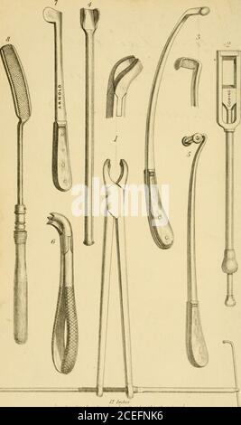 . Hippopathologie : eine systematische Abhandlung über die Störungen und Lamenesses des Pferdes, mit ihren am meisten genehmigten Methoden der Heilung ; Umarmung der Lehren der englischen und französischen Veterinärschulen ; die Meinungen der Professoren Coleman und Spooner, Dirrector Girard, Hurtrel d'Arboval, und andere britische und ausländische Tierärzte ; Mit illustrativen Holzschnitten. z^r^^^. (/^V/y//^/^j ^yr////f/- y//.&gt;/////////// .J//•/ ///F YFR/./R DIE KRANKHEITEN DIE VERDAUUNGSORGANE DAS PFERD, EINSCHLIESSLICH DERER SEINER HARN- UND GENERATIVEN SYSTEME. MIT ABBILDUNGEN. ALS PAET II, VOL. II, DER AUTHOES * HIPPOPAT Stockfoto