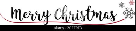 Frohe Weihnachten Schriftzug mit Schneeflocken Stock Vektor