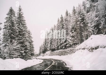 Verschneite Bergstraße. Stockfoto