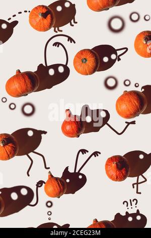 Muster von vielen verschiedenen Kürbissen mit einem harten Schatten auf einem grauen Hintergrund. Halloween-Konzept Stockfoto