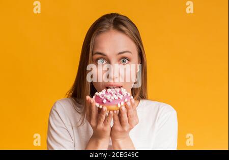 Junge Frau Beißt Tasty Donut, Posiert Über Gelben Hintergrund Im Studio Stockfoto