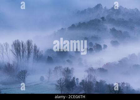 Tolle Aussicht auf dichten Nebel über schönen Wald im Winter. Stockfoto