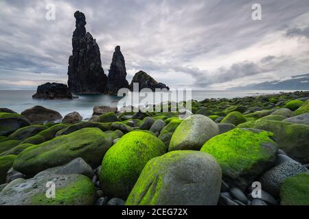 Nahaufnahme von moosigen Steinen, die an bewölktem Tag an der Küste liegen. Stockfoto
