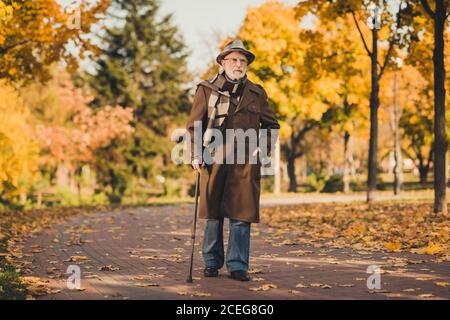 In voller Länge Foto von im Ruhestand grauen Haaren Opa Mann gehen Desert Park Stick sonnigen Tag ernsthafte Gesichtsausdruck tragen lange Mantel Kopfbedeckung Schal Brille Stockfoto