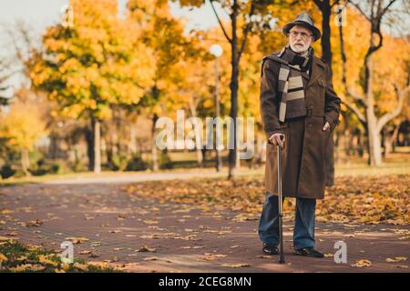 In voller Länge Foto von im Ruhestand grauen Haaren neugierig Opa Mann Spaziergang Wüste Park Stick ernsthafte Suche Bank sitzen lange tragen Mantel Kopfbedeckung Schal Brille Stockfoto