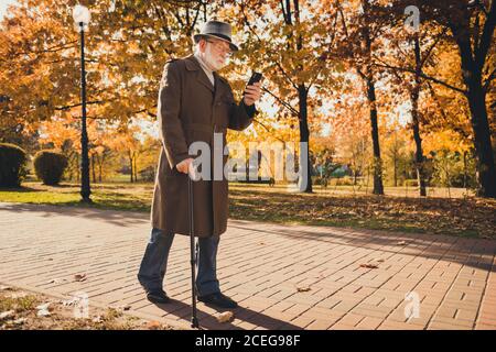 In voller Länge Profil Foto von im Ruhestand grauen Haaren Opa Mann Spaziergang Wüste Park Stick lesen E-Mail Telefon sonnigen Tag Gebrauch Moderne Technologie tragen Spezifikationen lang Stockfoto