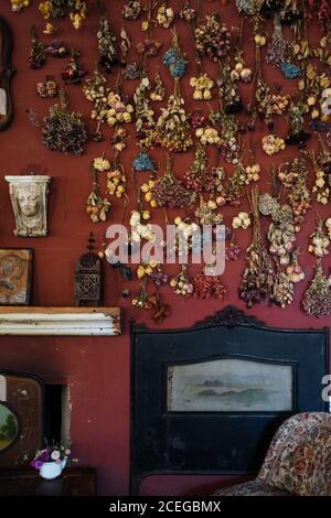 Schöne Rosen und andere Blumen getrocknet in Trauben hängen auf Alte, schäbige rote Wand mit Vintage-Dekorationen Stockfoto