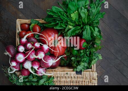 Crop Frau in Hemd und Rock halten in den Händen Korb mit offenem Deckel voll von hellen frischen Tomaten, Pfeffer, Rettich und Potherbs Stockfoto