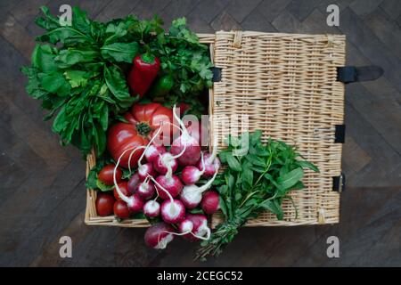 Crop Frau in Hemd und Rock halten in den Händen Korb mit offenem Deckel voll von hellen frischen Tomaten, Pfeffer, Rettich und Potherbs Stockfoto