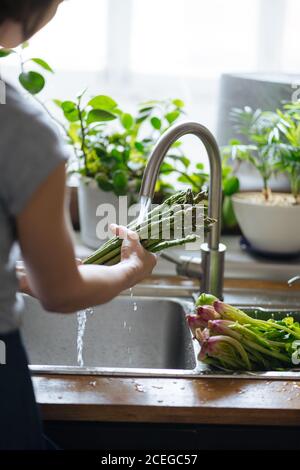 Crop Rückansicht der weiblichen Reinigung frischen grünen Sperling-Gras unter Fließendes Wasser im Waschbecken am Fenster Stockfoto