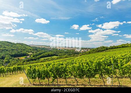 Blick über die Weinberge auf die Stadt Bad Sulza in Thüringen Stockfoto