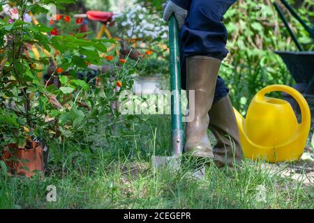 Gärtner graben in einem Garten mit einem Spaten. Vorbereitung der Erde durch Graben über mit einem Garten Spaten. Stockfoto