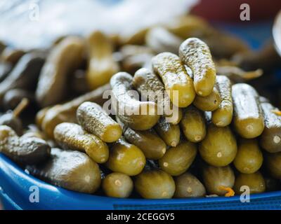 Nahaufnahme der Kunststoffschale mit Salzlake und eingelegten Gurken im Stapel angeordnet, Usbekistan Stockfoto