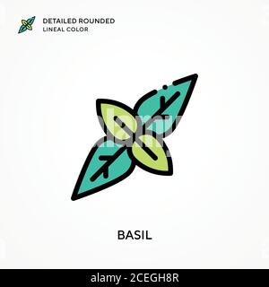 Basil detaillierte abgerundete Linienfarbe. Moderne Vektorgrafik Konzepte. Einfach zu bearbeiten und anzupassen. Stock Vektor