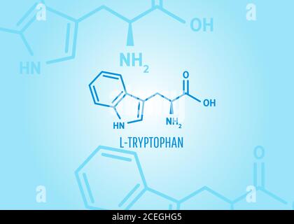 Tryptophan Skelettformel und Struktur auf blauem medizinischen Hintergrund mit Molekülen für Artikel, Banner oder Präsentation. Vektorgrafik Stock Vektor