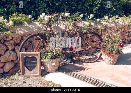 Schöne Vintage-Fahrrad mit Blumen geschmückt Stockfoto