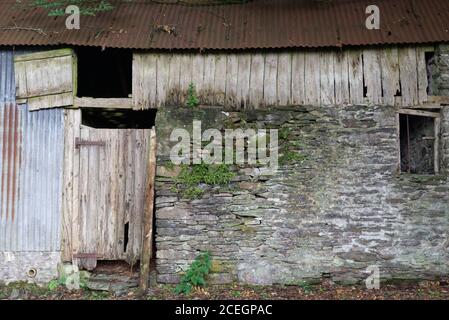 Ruinen einer alten gewellten, hölzernen und steinernen Kuhhütte auf dem Land Stockfoto