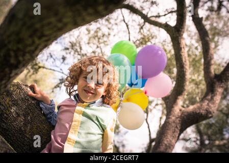 Kleiner Junge sitzt auf Baum mit Luftballons Stockfoto