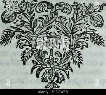 . Descrizione di tutte le pubbliche pitture della città di Venezia e isole circonvicine : o sia rinnovazione delle Ricche minere di Marco Boschini : colla aggiunta di tutte le opere, che uscirono dal 1674. fino al presente l733 : con un compendio delle vite, e maniere de' principali pittori. Attrecciedaltro; Unen-do a ciò una efatta intelligenza di chiarofEuro, eduna lucidifftma vaghezza; onde Fi rende degno van-taggio (ameni e di uno de primi &lt;£radi. ANGELO TRIVISANI è ununiversale pittore ,le cui degne opere, con bella forza , e con diftintamayùera ridotte, Fi fanno da fé (ieffe conofeere Stockfoto