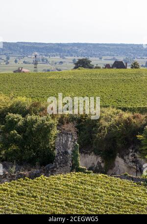 Berühmten französischen Weinberge bei Saint Emilion Stadt in der Nähe von Bordeaux, Frankreich. St Emilion ist einer der wichtigsten Bereiche der Rotwein Bordeaux und sehr beliebt Stockfoto