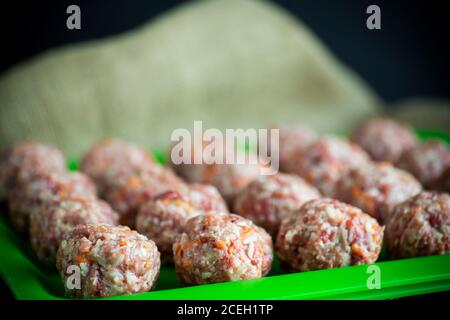 Rohe Fleischbällchen aus Rind und Schwein mit Karotten und Reis Stockfoto