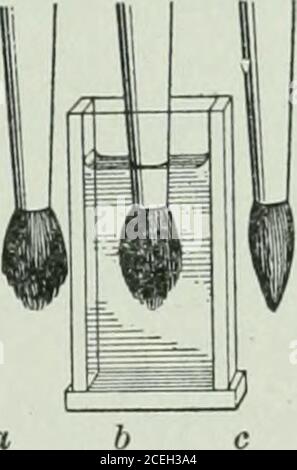 . Die Ontario High School Physik. 156 PHÄNOMENE DER OBERFLÄCHENSPANNUNG UND KAPILLARITÄT von Kupfergaze mit etwa zwanzig Drähte zu den incli; Leisten Durchmesser etwa sechs Zoll und Höhe ein Zoll. Binden Sie sie mit Draht, um sie zu stärken. Tauchen Sie es in geschmolzenes Paraffin Wachs, und während noch heiß klopfen es auf den Tisch, um die Wax aus den Löchern zu schütteln. Ein Stift guter Größe wird noch durch die Löcher passieren und tliere wird über 10,000 von ihnen sein. Auf die Unterseite der Schale legen Sie ein kleines Stück Papier und gießen Sie Wasser darauf. Ein halber Becher Wasser kann in das Gefäß gegossen werden, doch es wird nicht auslaufen. Die w Stockfoto