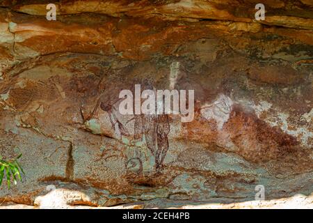 Aboriginal Rock Painting Safari mit Sab Lord's Guided Tour durch Das australische Outback Stockfoto