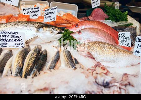 Frisch Gefangene Meeresfische und andere Meeresfrüchte werden auf dem Borough Market in London, Großbritannien, ausgestellt. Stockfoto