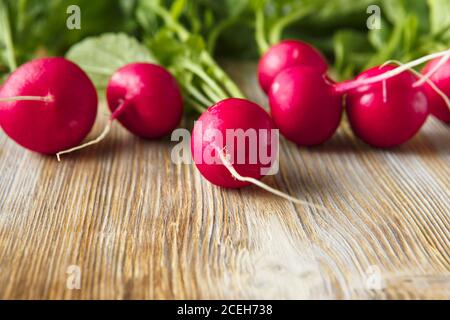 Frisch geerntetes, lila buntes Rettich auf Holzschneidebrett. Radieschen wachsen. Gemüseanbau. Saisonale Küche, Food Styling. Europäische rote ra Stockfoto