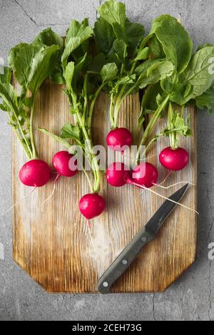 Frisch geerntetes, lila buntes Rettich auf Holzschneidebrett. Radieschen wachsen. Gemüseanbau. Saisonale Küche, Food Styling. Europäische rote ra Stockfoto