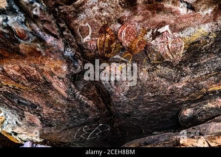 Einheimischer Guide erklärt Aborigine Rock Kunst in Long Tom Träumen, Gunbalanya, Australien Stockfoto