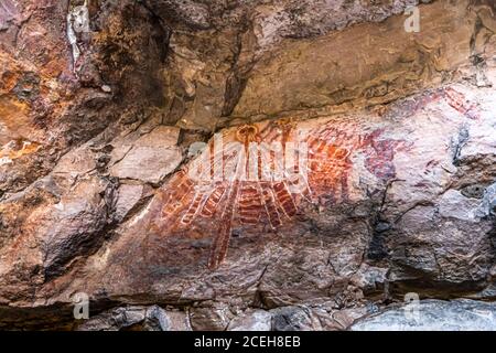 Einheimischer Guide erklärt Aborigine Rock Kunst in Long Tom Träumen, Gunbalanya, Australien Stockfoto