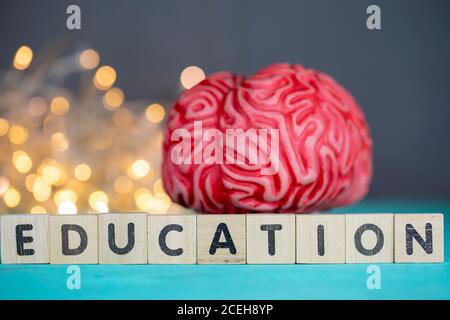 Gehirn, Bildung und Unterrichtskonzept Stockfoto