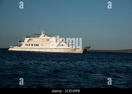 Coral 1 Kreuzfahrtschiff in der Abendsonne vor Eden Island mit Santa Cruz auf den Galapagos Inseln im Hintergrund. Stockfoto