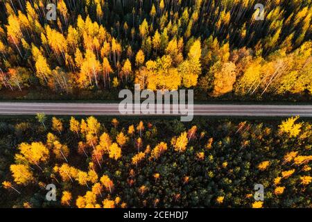 Eine Luftaufnahme einer kleinen Straße, die durch einen bunten gemischten borealen Wald während einer Herbstfärbung in Estlands Landschaft, Nordeuropa, führt. Stockfoto
