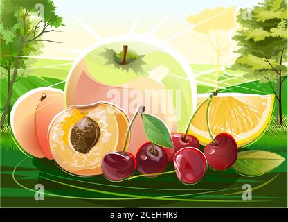 Sommerfrüchte. Stillleben vor dem Hintergrund der Landschaft. Vektorgrafik. Apfel, Aprikose, Pfirsich, Kirsche, Orange. Im Hintergrund Stock Vektor