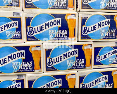 Orlando,FL/USA-8/15/20: Fälle von blauem Mond Belgisches Weißes Ale Bier in einem Sam's Club Geschäft in Orlando, Florida. Stockfoto