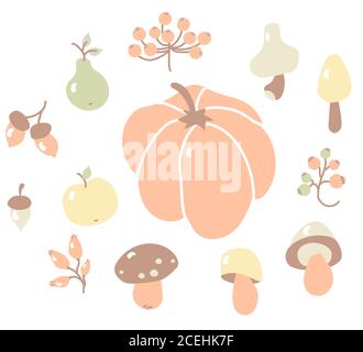Gemütlicher Herbst. Farbiger Satz Herbstzeichnungen. Ernte und Herbstfrüchte - Zweige und Beeren, Wildrose und Viburnum, Eicheln und Pilze, Kürbis Stock Vektor