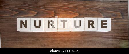 Nurture Wort auf Holzwürfel geschrieben Stockfoto