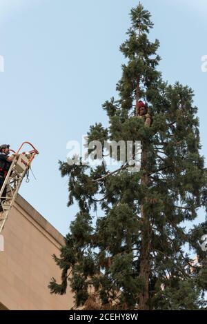 Seattle, USA - Mar 22, 2016: Ein Mann sitzt und Seattle Polizisten spät am Tag auf der 4. Avenue. Stockfoto