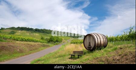 Moselsteig bei Ellenz-Poltersdorf mit Panoramalandschaft, Weingärten und einer Bank vor einem großen Holzfass, Deutschland Stockfoto