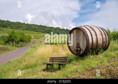 Moselsteig bei Ellenz-Poltersdorf mit Panoramalandschaft, Weingärten und einer Bank vor einem großen Holzfass, Deutschland Stockfoto
