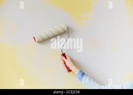 Weibliche Hand Malerei Wand mit Farbrolle. Malerei Wohnung, Renovierung mit grauer Farbe Stockfoto