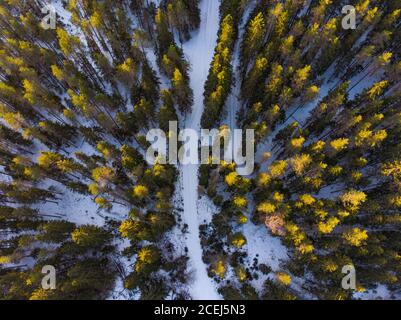 Straße im Winter Wald Draufsicht. Schöne Luftlandschaft an sonnigen Tagen. Schnee bedeckt Berg und verschneite Spur zwischen immer grünen Pinien. Schuss aus Stockfoto