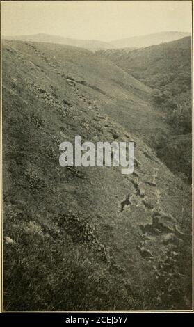 . Eine Geschichte des Erdbebens und Feuers in San Francisco; ein Bericht über die Katastrophe vom 18. April 1906 und ihre unmittelbaren Folgen. Die Fotos sind ein hy IT ken entlang des Fehlers. PJioto hy Derlcth die Verwerfung, nahe Lake San Andreas 38 DIE VERWERFUNG LINIE prominent. Im Süden wird es von einem Nuni-ber ähnlicher Täler fortgesetzt. Im Norden, über das Golden Gate, umfasst es Bolinas Bay und TomalesBay, beide lange schmale Gewässer liegen direkt in Einklang mit den langen schmalen Seen bereits bemalten. In der Nähe von Tomales Bay war die Zone der größten Störung; aus dem Stausee lakesled die Wasserleitungen Stockfoto