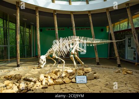 TSKALTUBO, GEORGIA - 19. MÄRZ 2018: Skelett des Dinosauriers, im Sataplia Nature Reserve in der Nähe von Kutaisi Stadt, Georgia. Über Exstinkt erziehen Stockfoto