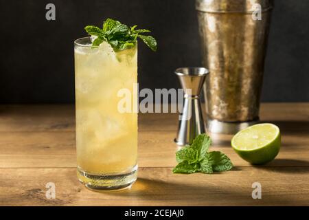Erfrischender Mint GinGin Mule Cocktail mit Limette und Ingwer Bier Stockfoto